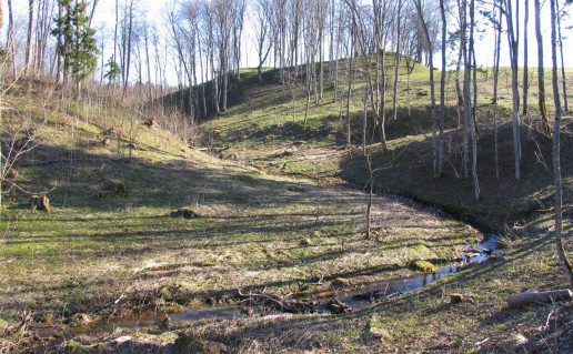 11_VEMBŪTŲ PIL..jpg